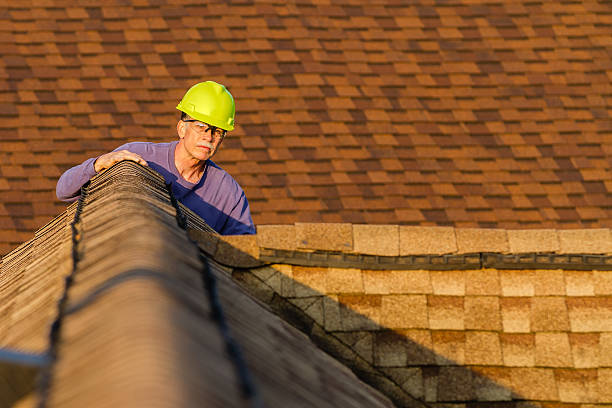 Best Roof Maintenance Services  in Southfield, MI